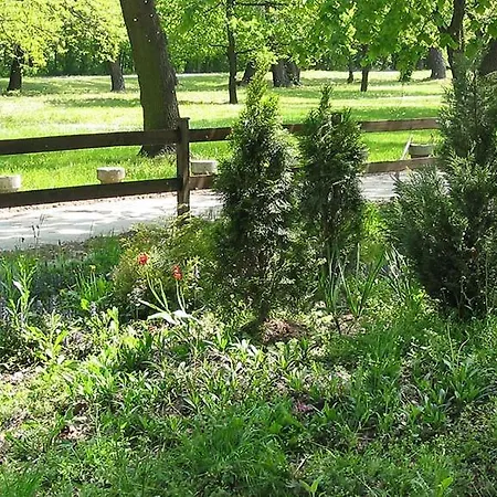 Monia Dream - & Fair