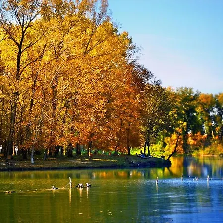 Monia Dream - & Fair