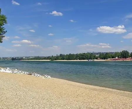 Monia Dream - & Fair