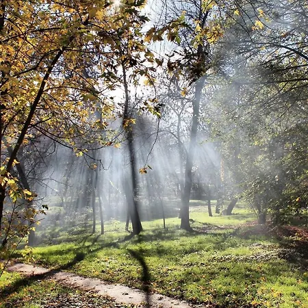 Monia Dream - & Fair 公寓